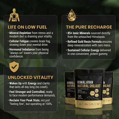 Nutriveira Himalayan Gold Shilajit Gummies
